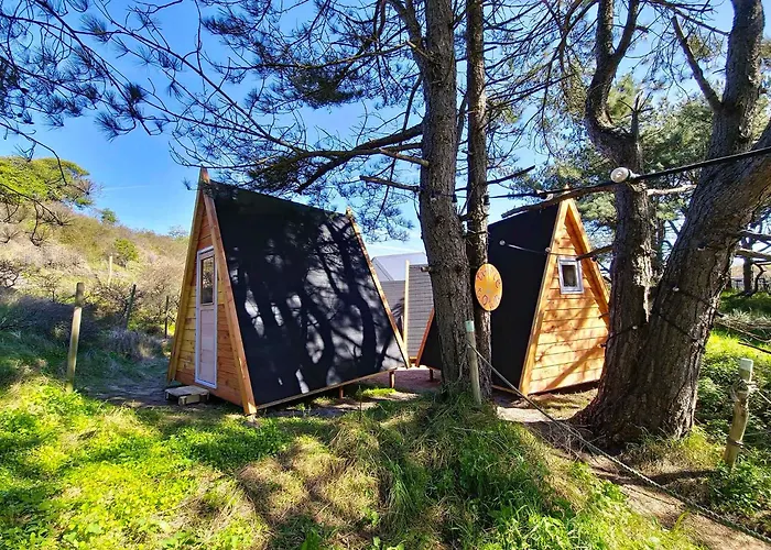 Surfana Beach Bed&Breakfast Bloemendaal
