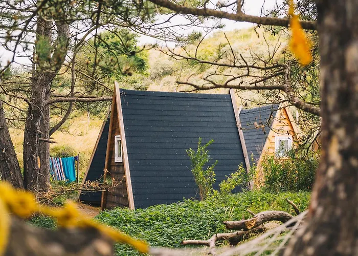 Surfana Camp Bloemendaal Hostel